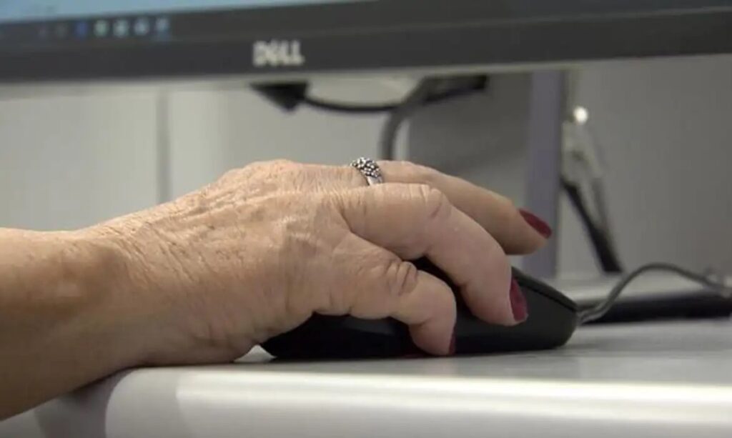 Uso de internet no país cresce mais entre idosos, mostra IBGE - Jornal O São Paulo