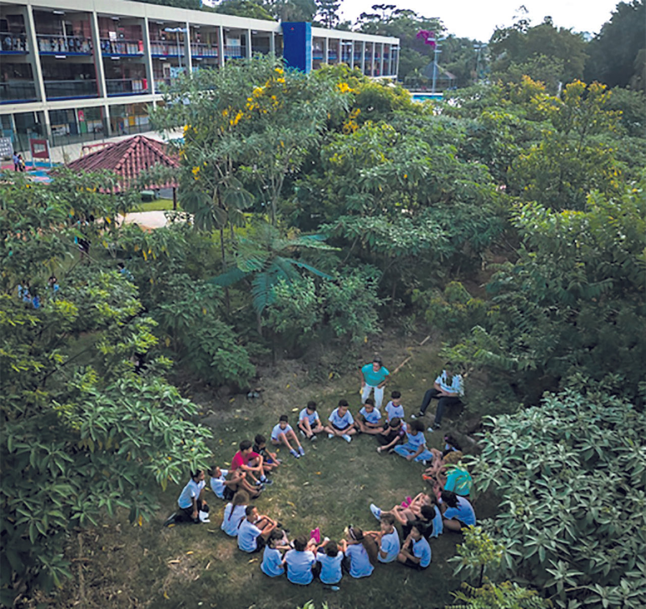 Curso on-line da Oficina Municipal trata sobre meio ambiente e ecologia - Jornal O São Paulo