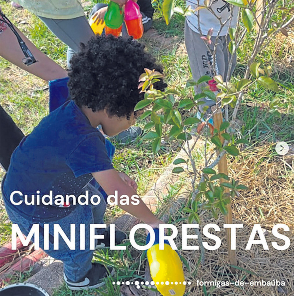 ‘Formiguinhas’ em ação: crianças transformam espaços de escolas públicas de SP em miniflorestas - Jornal O São Paulo