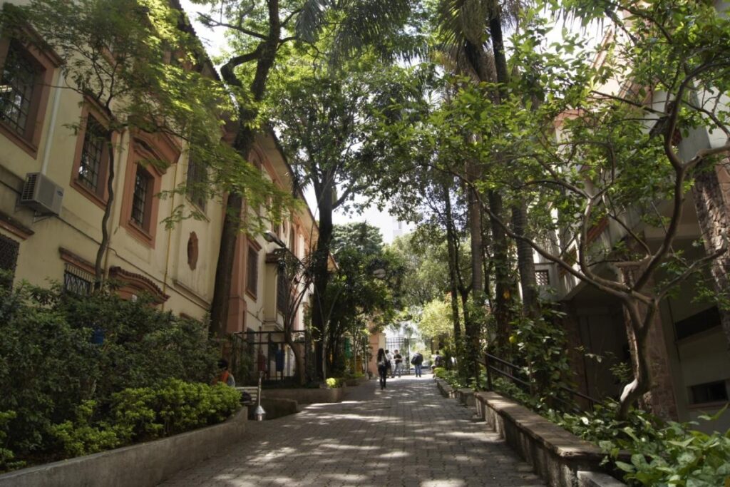 Nova Reitoria da PUC-SP é nomeada para a gestão 2024-2028 - Jornal O São Paulo