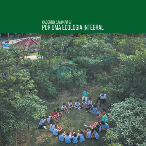‘Formiguinhas’ em ação: crianças transformam espaços de escolas públicas de SP em miniflorestas - Jornal O São Paulo