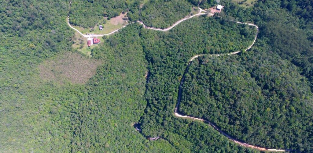 Governo de SP reabre 69 parques no estado - Jornal O São Paulo