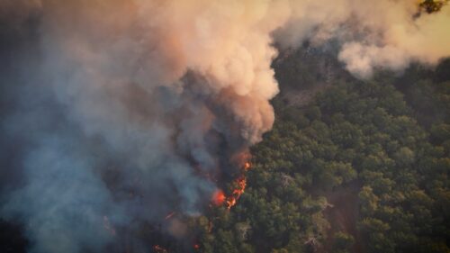 Defesa Civil de SP estende alerta de risco elevado para incêndios para todo o estado - Jornal O São Paulo