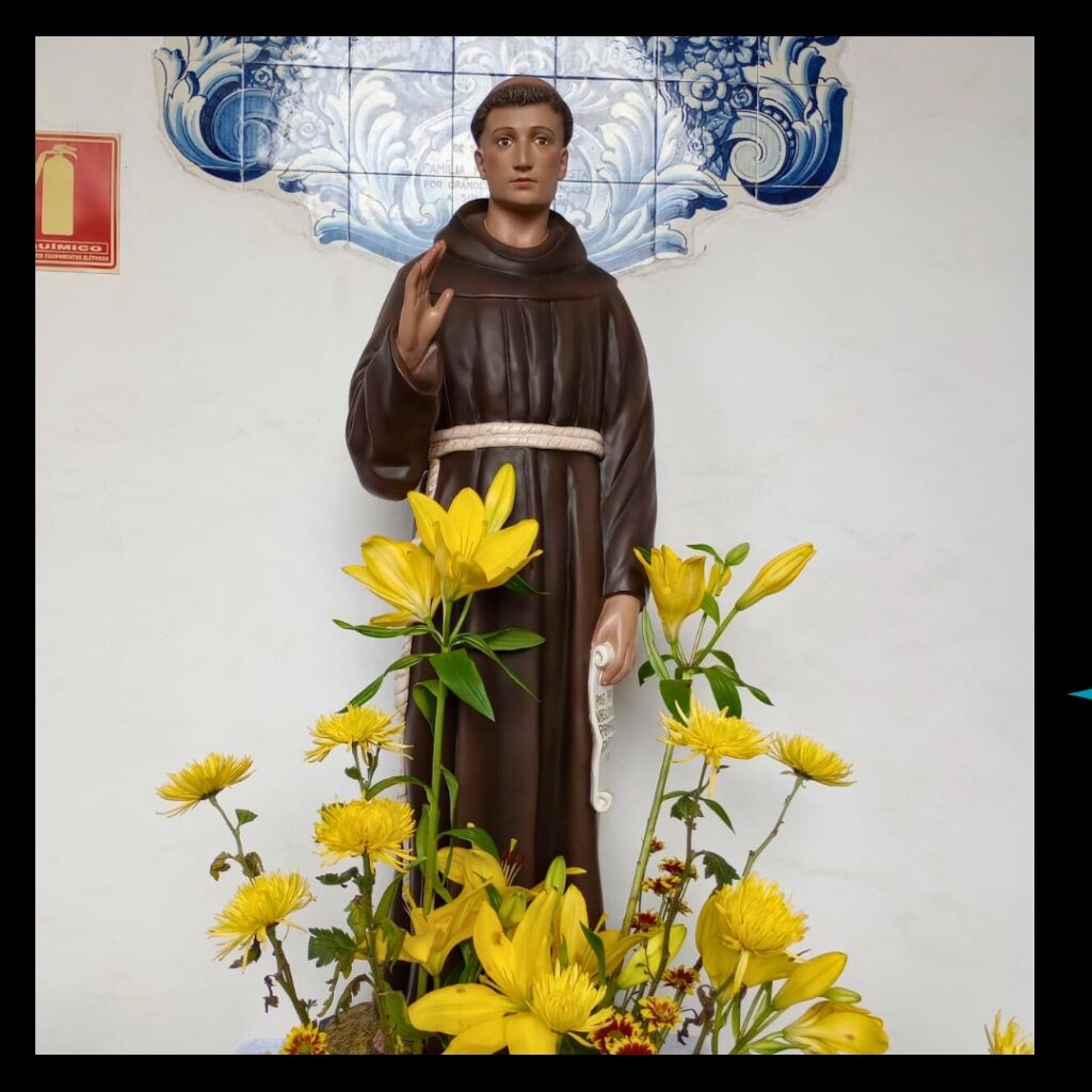 Dom Odilo destaca que Frei Galvão viveu a humildade, a fidelidade à Igreja e a atenção aos pobres - Jornal O São Paulo