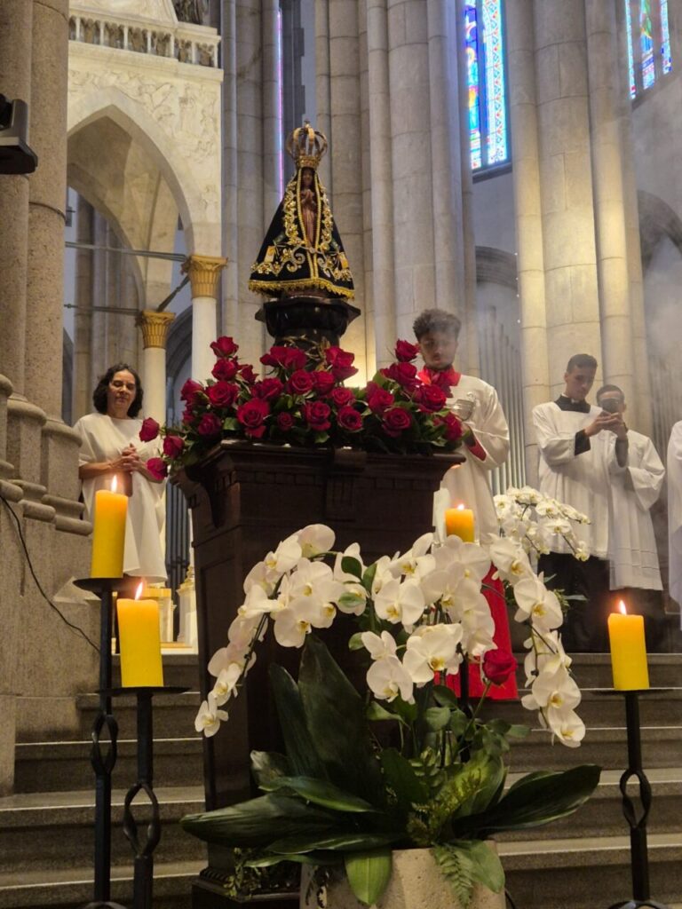 Projeto Tietê Esperança Aparecida leva a imagem peregrina da Virgem Maria à Catedral da Sé - Jornal O São Paulo