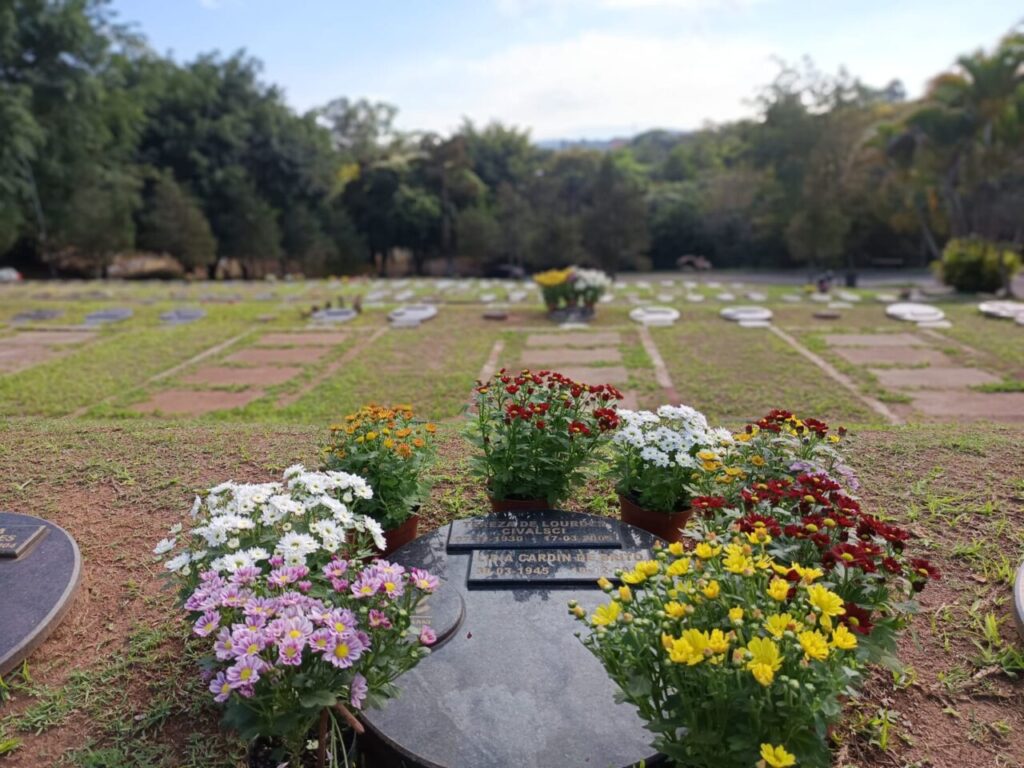 ‘A nossa vida neste mundo não é um caminhar para a morte, mas para o encontro com Deus’ - Jornal O São Paulo
