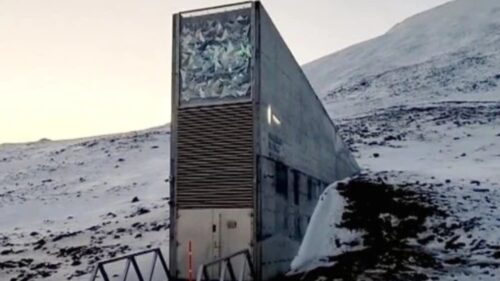 Noruega: Banco de sementes pode salvar a humanidade - Jornal O São Paulo