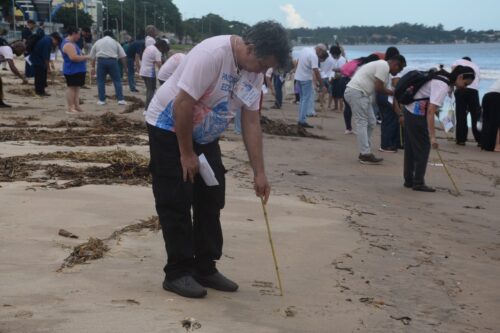 Educadores refletem o cenário da educação no Brasil, inspirados em Anchieta - Jornal O São Paulo