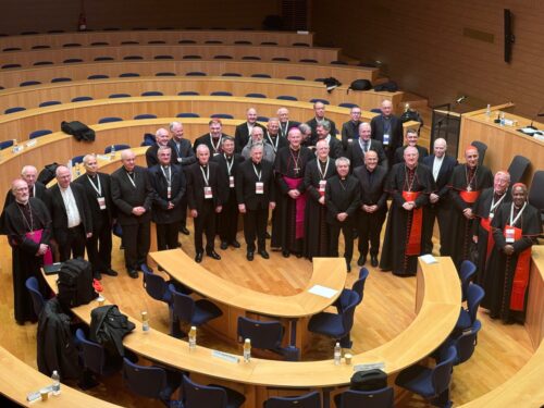 Inteligência artificial e transição digital são temas da Plenária do Dicastério para a Cultura e a Educação - Jornal O São Paulo