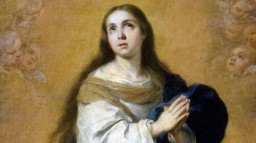 Imaculada, cheia de Graça, Maria, Mãe de Deus e nossa  - Jornal O São Paulo