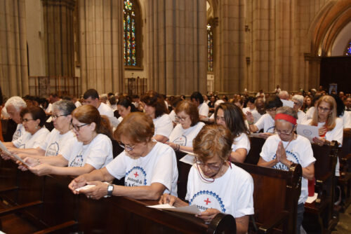 Vicariato para a Pastoral da Saúde e dos Enfermos fará peregrinação jubilar no dia 12 - Jornal O São Paulo