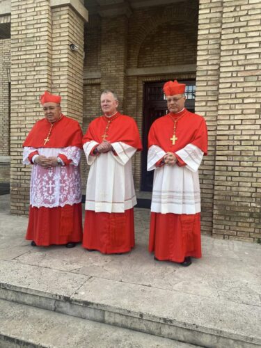 Após ser feito cardeal, Dom Jaime Spengler preside missa no Colégio Pio Brasileiro - Jornal O São Paulo