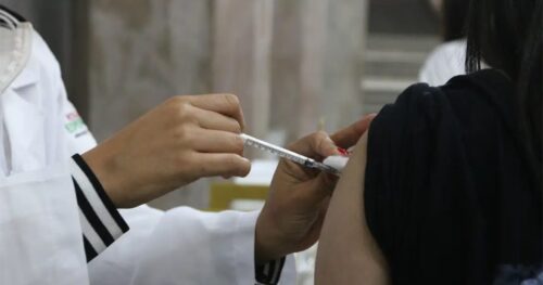 Febre amarela: Governo de SP reforça vacinação e alerta para cuidados em áreas de mata - Jornal O São Paulo