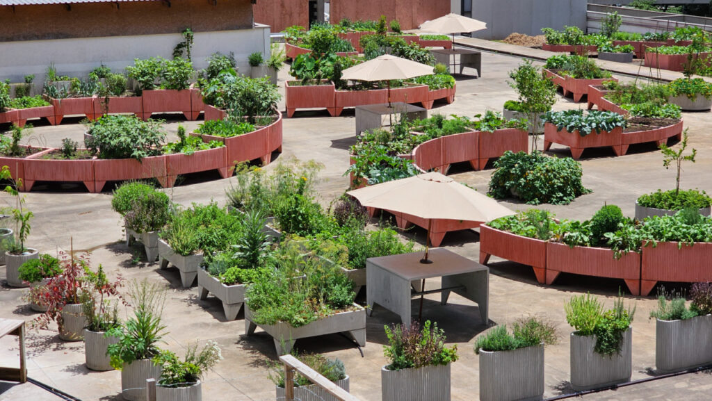 Prefeitura cultiva horta no Centro que já produziu 1 tonelada de alimentos em 2 meses - Jornal O São Paulo