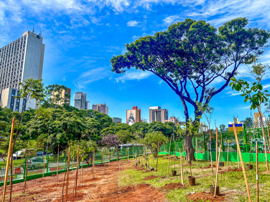 Prefeitura de SP anuncia 50 bosques urbanos e plantio de 120 mil árvores - Jornal O São Paulo