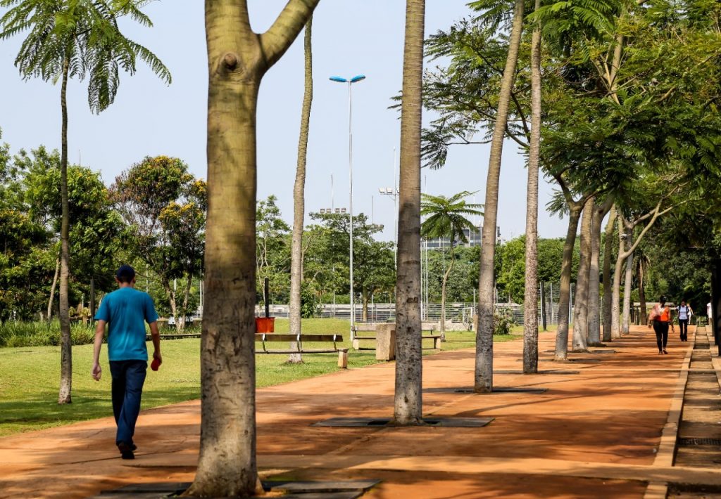 Parques de SP têm programação gratuita com natureza e cultura no Carnaval - Jornal O São Paulo
