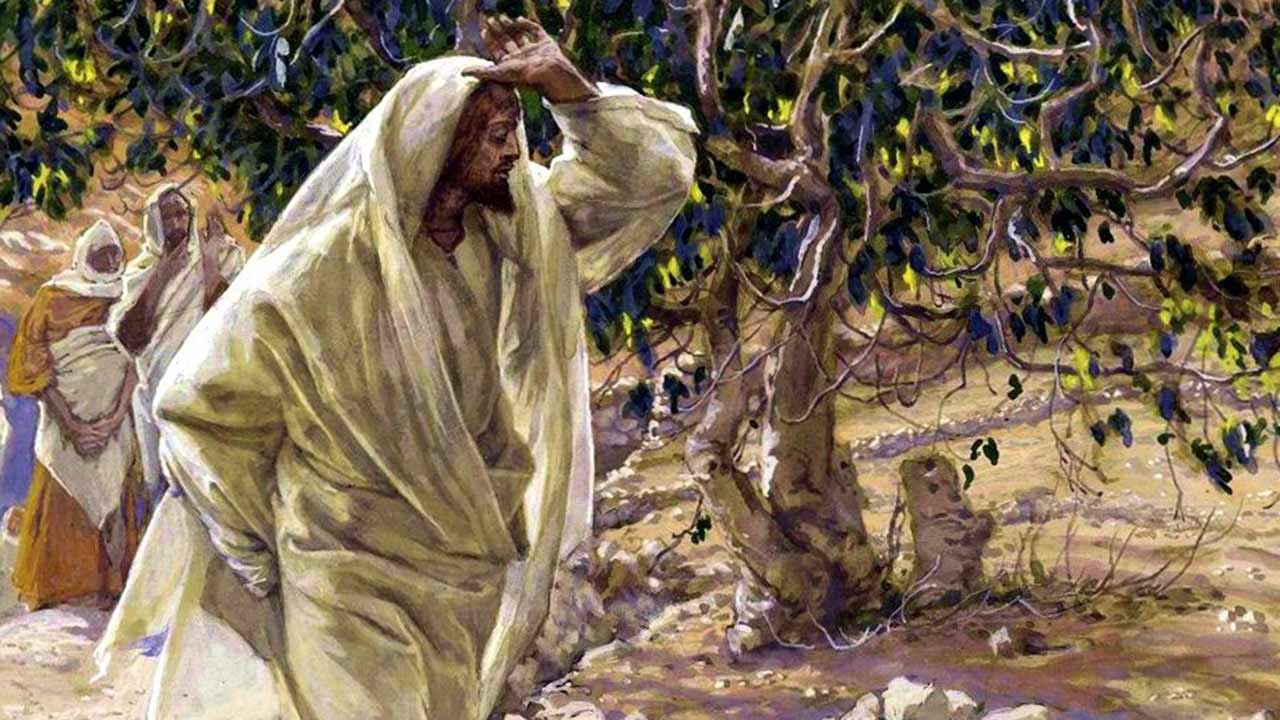 Certo homem tinha uma figueira - Jornal O São Paulo