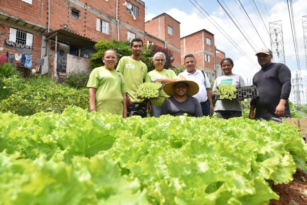 Favela Haiti 3D: um projeto que dialoga com os ideais da Ecologia Integral - Jornal O São Paulo