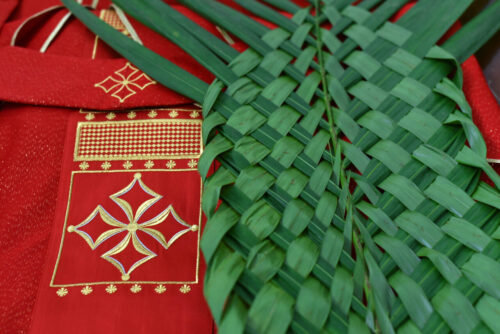 O que fazer com os ramos depois que eles secam? - Jornal O São Paulo