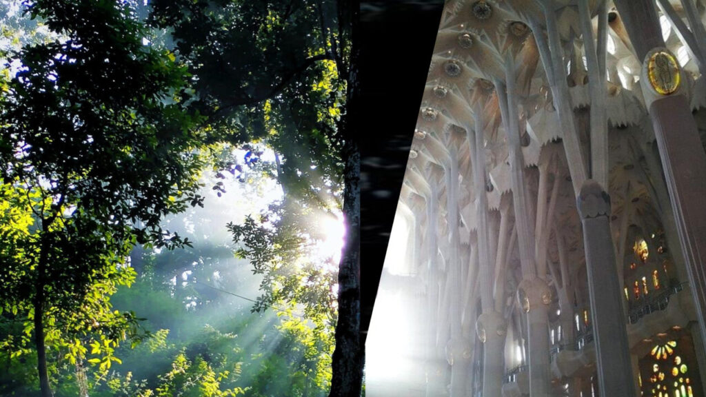 Tomado pelo maravilhamento - Jornal O São Paulo