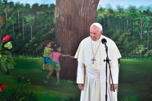 Educação e espiritualidade ecológicas para um mundo melhor  - Jornal O São Paulo