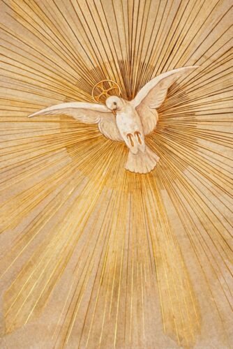 ‘Não se perturbe nem se intimide o vosso coração!’ - Jornal O São Paulo