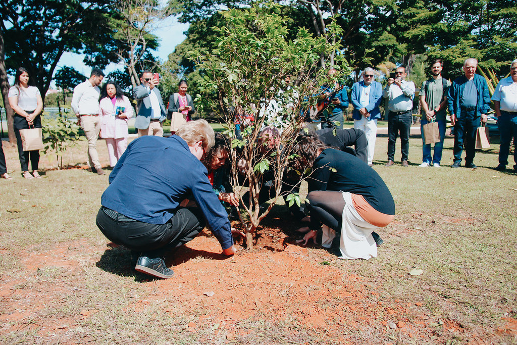 Evento na CNBB celebra os 10 anos da Encíclica Laudato Si’ e reforça urgência da ecologia integral diante da crise climática - Jornal O São Paulo