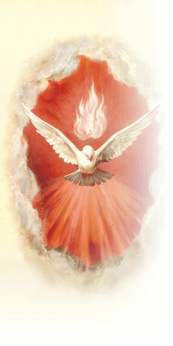 Vinde, Espírito Santo!  - Jornal O São Paulo