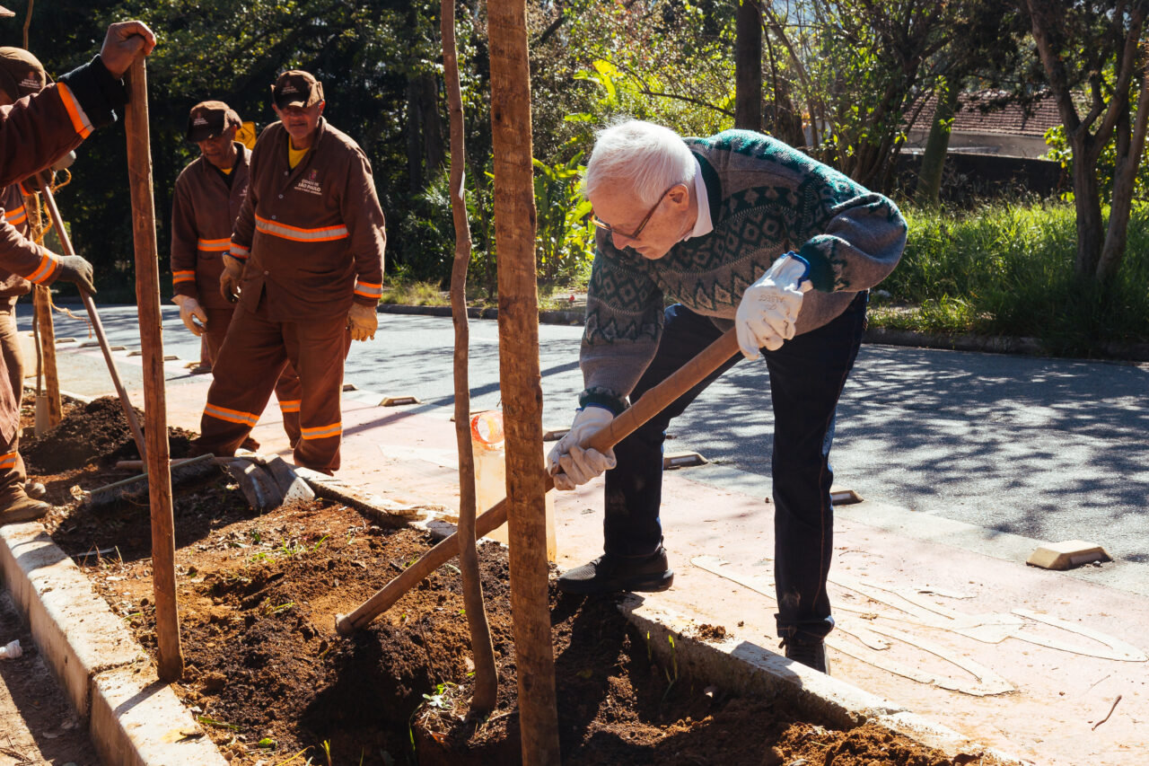 No Butantã, uma proposta ambiental para renovar a paisagem urbana - Jornal O São Paulo