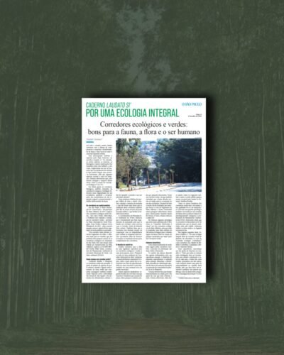 Cidades têm melhorias ambientais com corredores ecológicos e verdes - Jornal O São Paulo