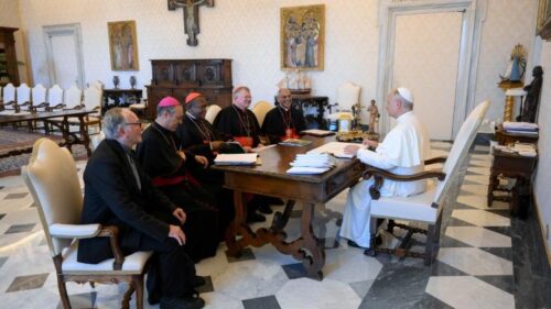 Conferências episcopais do ‘Sul global’ apresentam ao Papa documento com reflexões para a COP30 - Jornal O São Paulo