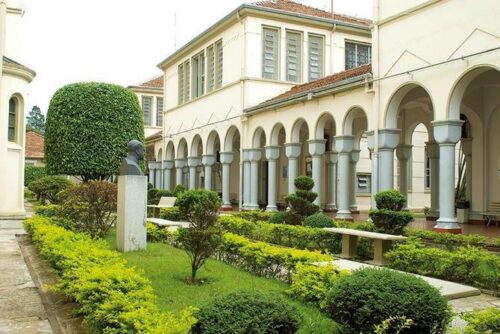 Curso de extensão on-line tratará sobre Conselho de Assuntos Econômicos Paroquiais - Jornal O São Paulo