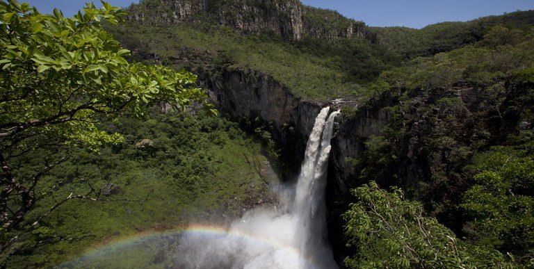Câmara aprova projeto que altera regras de licenciamento ambiental - Jornal O São Paulo