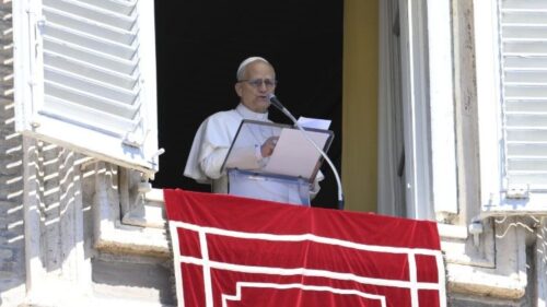 Papa Leão XIV pede o fim da ‘pandemia de armas’ - Jornal O São Paulo