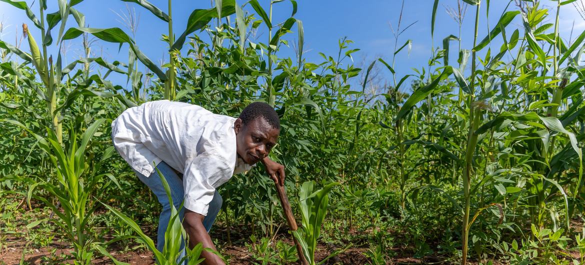 Do mar ao solo: um pescador se reiventa em meio à crise no norte de Moçambique - Jornal O São Paulo