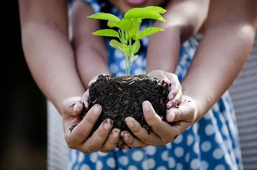 Movimento Laudato Si’ lança curso para formar católicos líderes em ecologia integral rumo à COP30 - Jornal O São Paulo