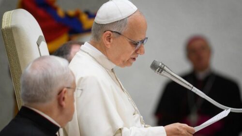 Leão XIV: ‘A esperança cristã não é evasão, mas determinação’ - Jornal O São Paulo