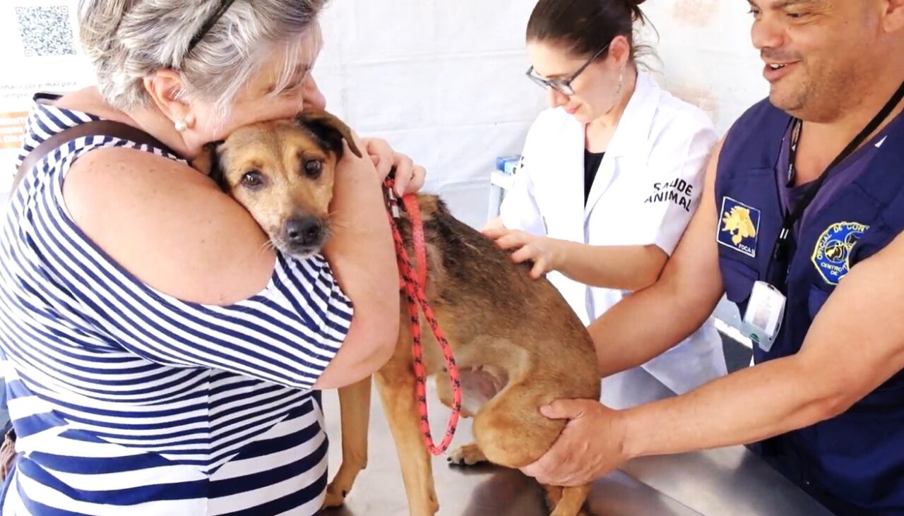 Prefeitura inicia 4ª Semana Animal com mais de 1,2 mil visitantes - Jornal O São Paulo