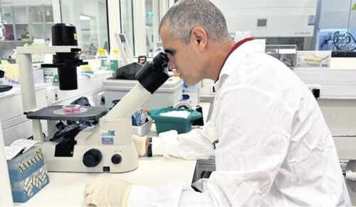 Israel: Implante medular espinhal pode se tornar a possível cura da paralisia  - Jornal O São Paulo