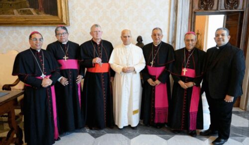 Membros da presidência do Celam têm audiência com o Papa Leão XIV - Jornal O São Paulo