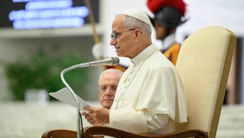 Leão XIV: Maria nos protege das ideologias - Jornal O São Paulo