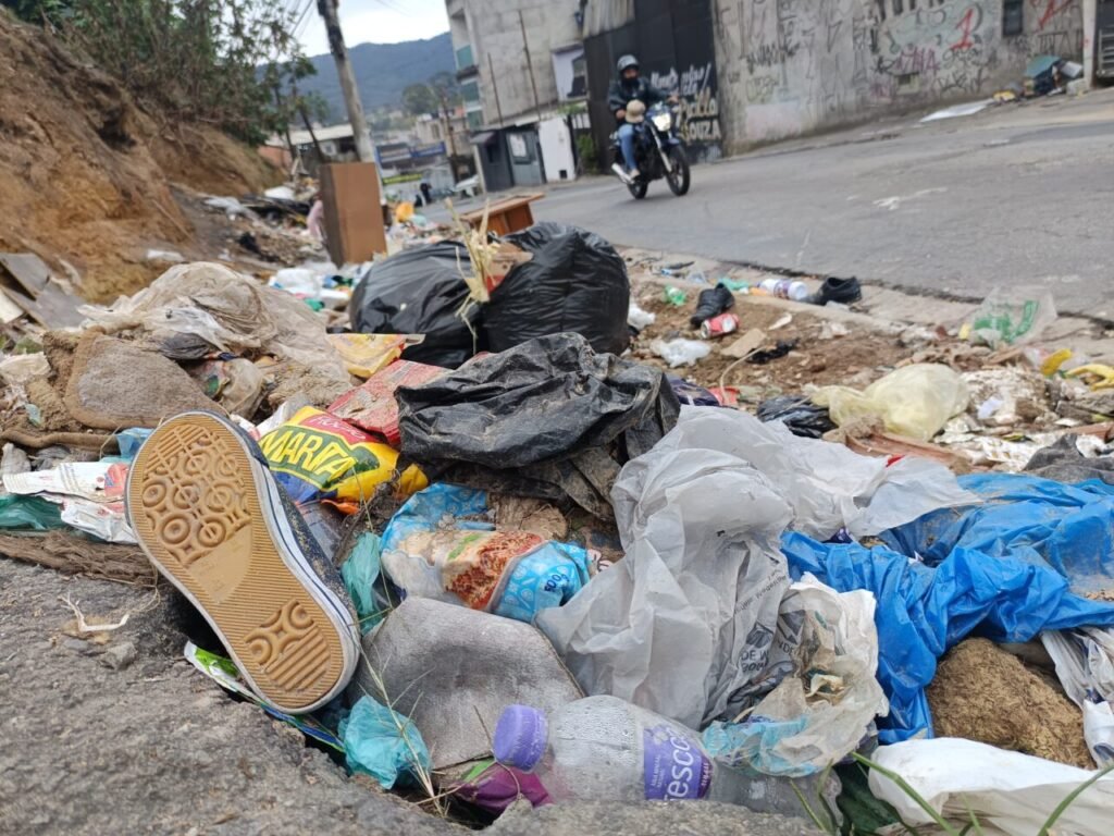 Coleta de recicláveis: uma questão ainda desafiadora na capital paulista - Jornal O São Paulo