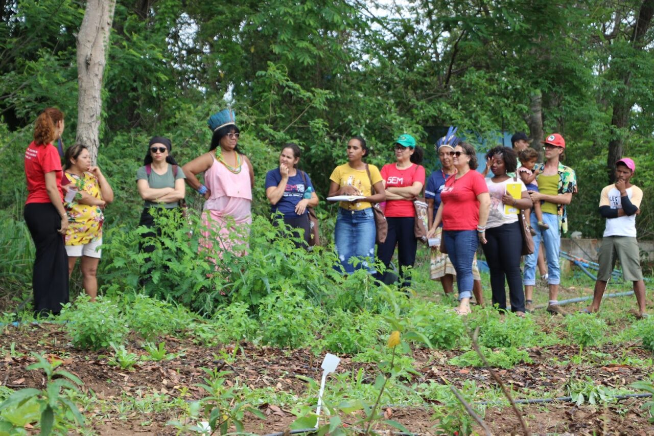 234 projetos de Ecologia Integral são apoiados pela CNBB, beneficiando mais de 900 mil pessoas - Jornal O São Paulo