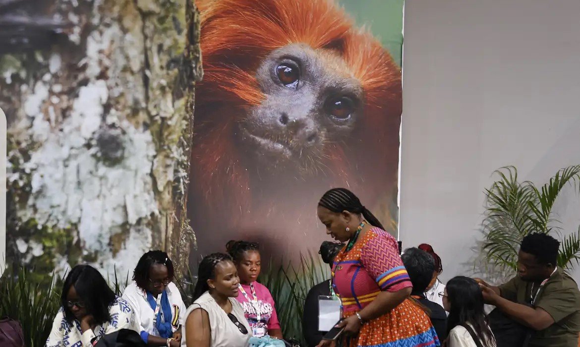 COP30: financiamento, transição e adaptação são centro das negociações - Jornal O São Paulo