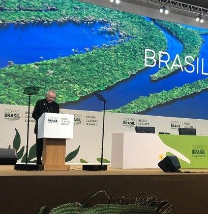 Papa à COP30: “Se vocês querem cultivar a paz, cuidem da Criação” - Jornal O São Paulo