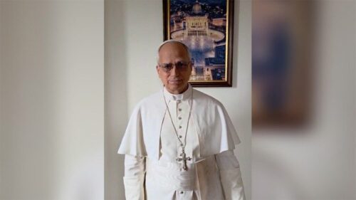 Leão XIV às Igrejas do Sul Global na COP30: Amazônia sinal vivo da criação - Jornal O São Paulo