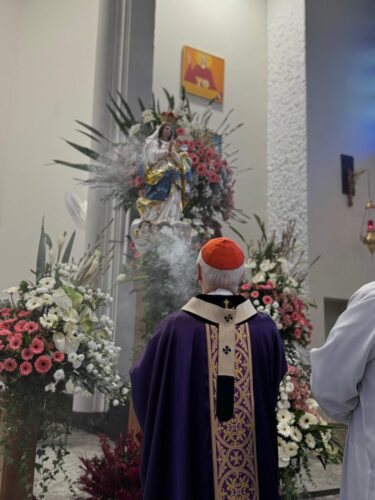 Cardeal Scherer preside missa em novena da Paróquia Nossa Senhora da Conceição - Jornal O São Paulo