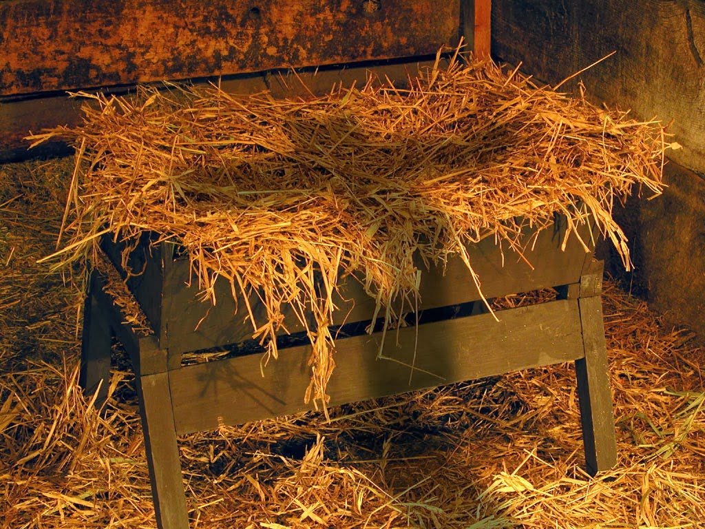 Advento: espera, conversão e esperança no Mistério da Encarnação  - Jornal O São Paulo