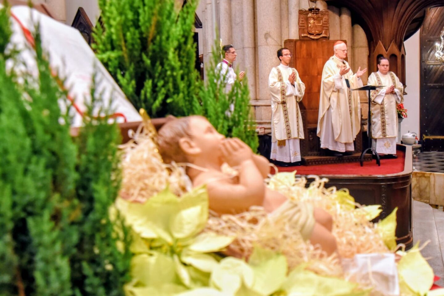 ‘Que a luz de Cristo brilhe também hoje’, diz Dom Odilo, na Noite de Natal - Jornal O São Paulo