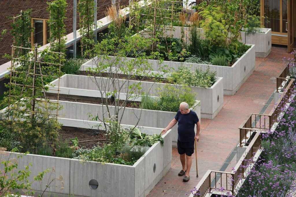 No Reino Unido, projeto habitacional estimula a convivência entre idosos - Jornal O São Paulo